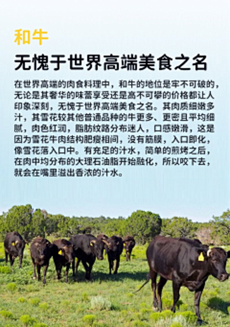 新西兰羊排：天然健康的新选择